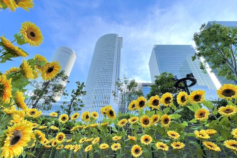 001 Nagoya Station Area Course A Hidden Gems & Cultural Highlights Tour / 1~2 Hour