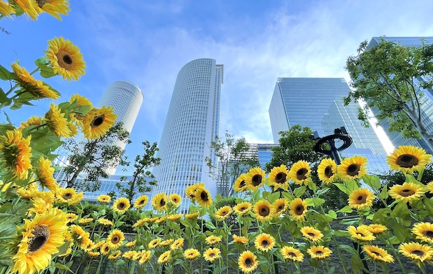 Urban Oasis in the City