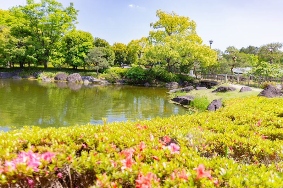 006 Atsuta area course A Discover Shirotori Garden and Japanese Tea Culture” / 1~2 Hour